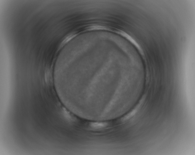 X0000113291145200910051055