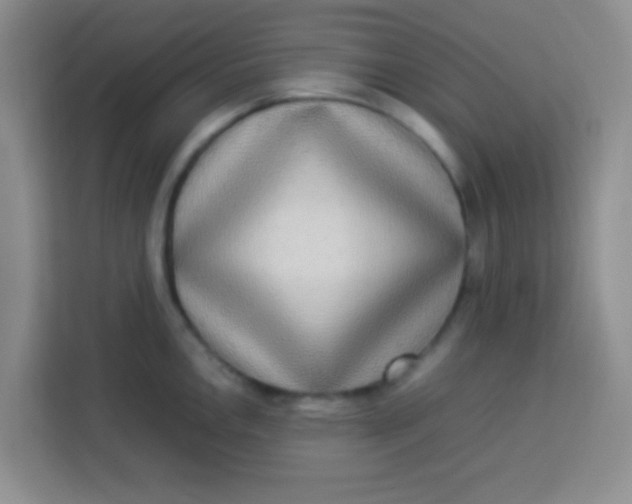 X0000113291146200910051055