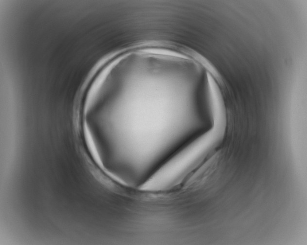 X0000113291148200910051055