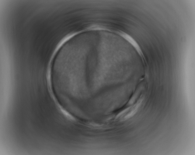 X0000113291149200910051055