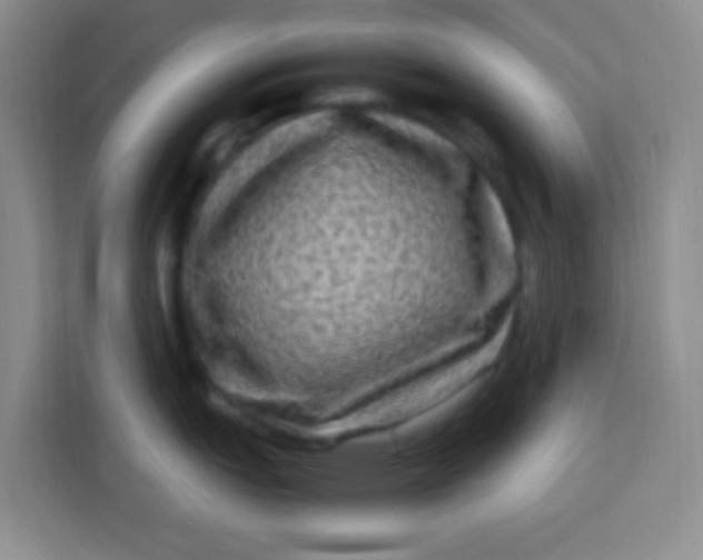 X0000113291151200910051055