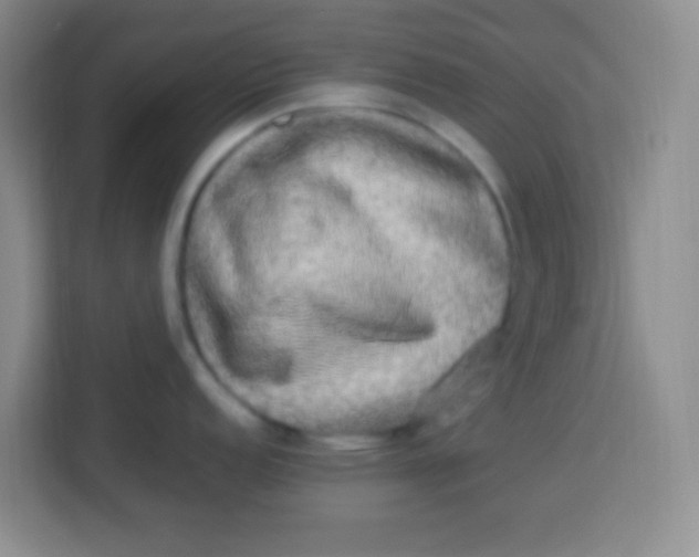 X0000113291152200910051055