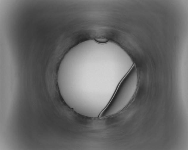 X0000113291153200910051055