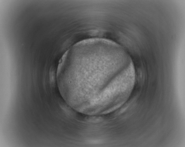 X0000113291154200910051055