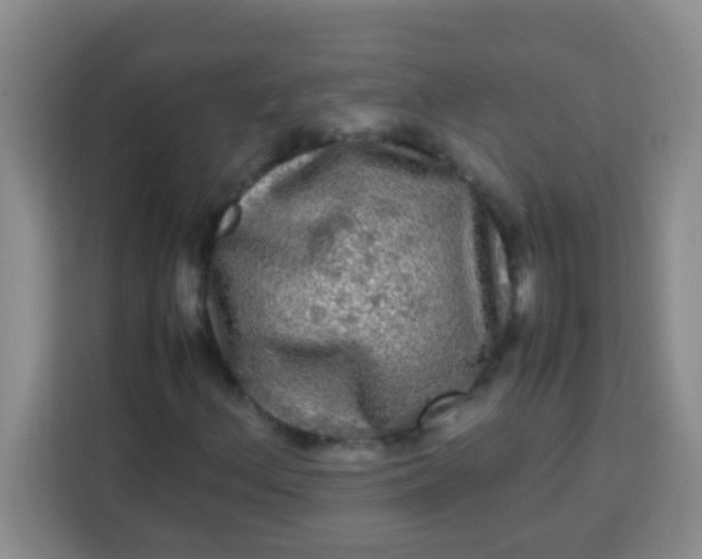 X0000113291156200910051055