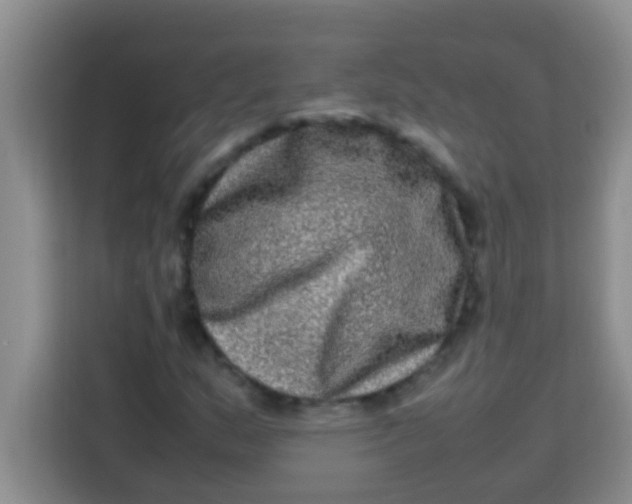 X0000113291159200910051055