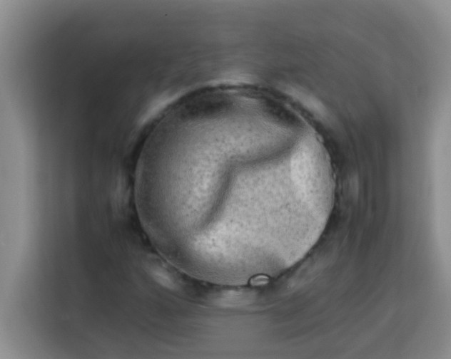 X0000113291160200910051055