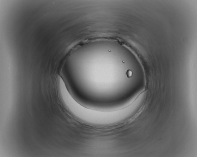 X0000113291161200910051055