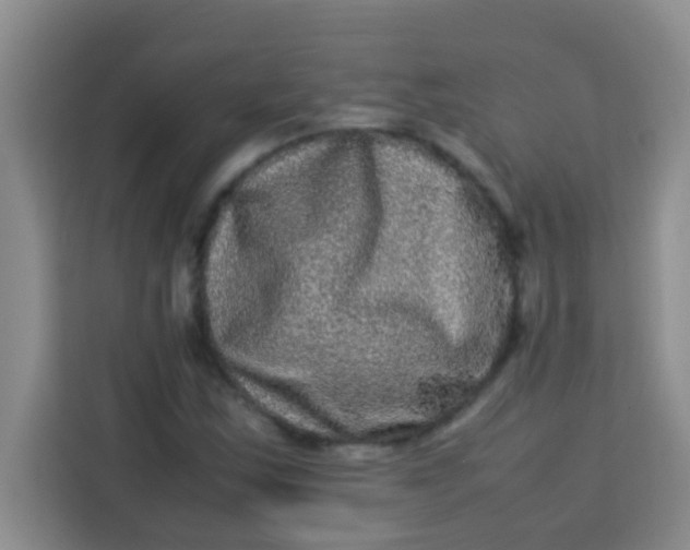 X0000113291163200910051055