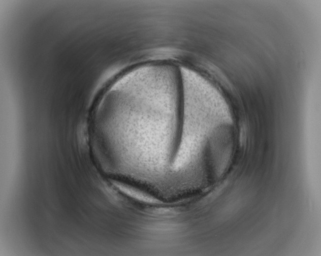 X0000113291164200910051055