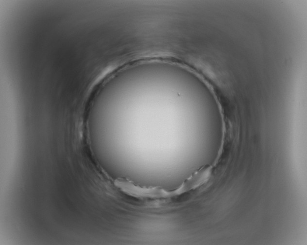 X0000113291165200910051055