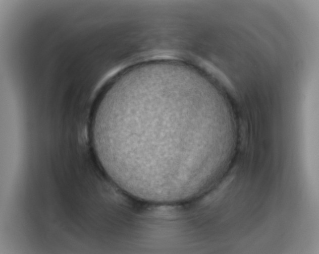 X0000113291166200910051055