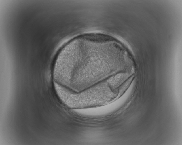 X0000113291167200910051055