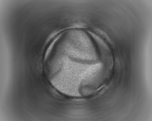 X0000113291168200910051055