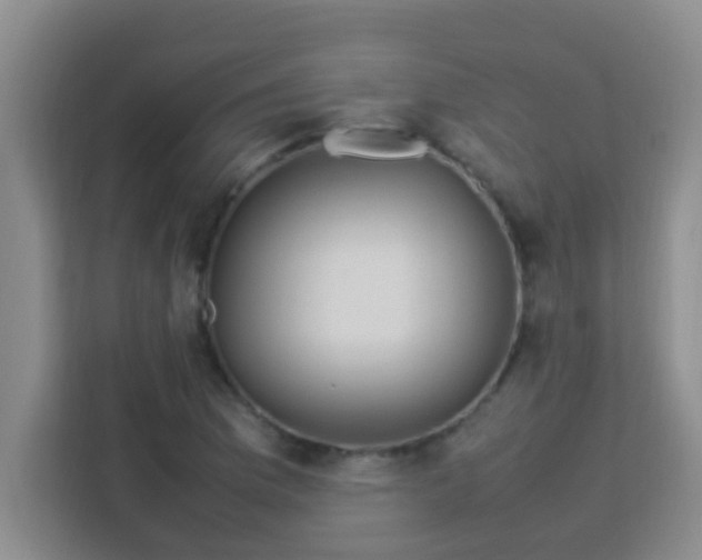 X0000113291169200910051055