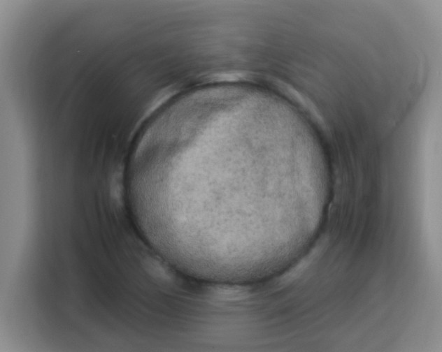 X0000113291170200910051055