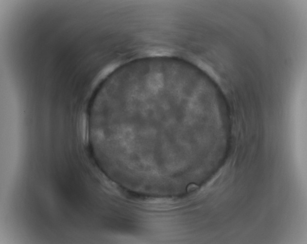 X0000113291171200910051054