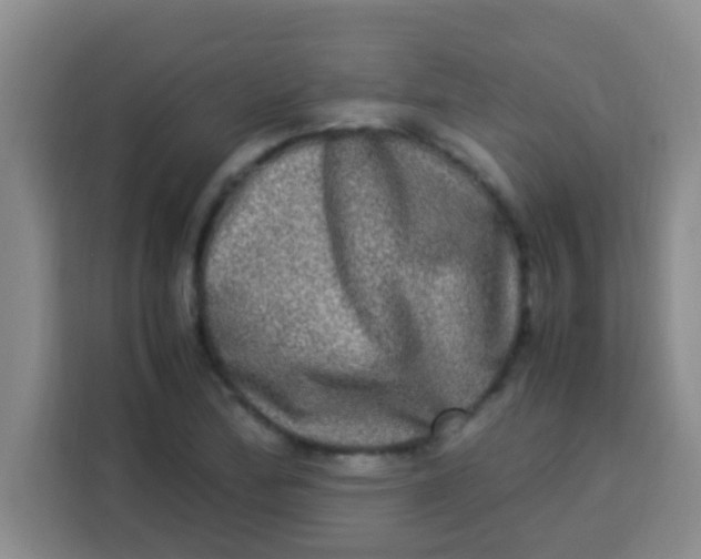 X0000113291172200910051054