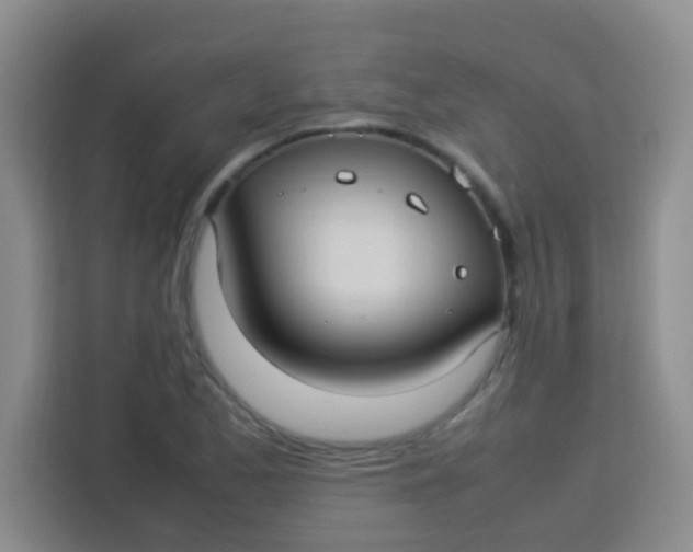 X0000113291173200910051054