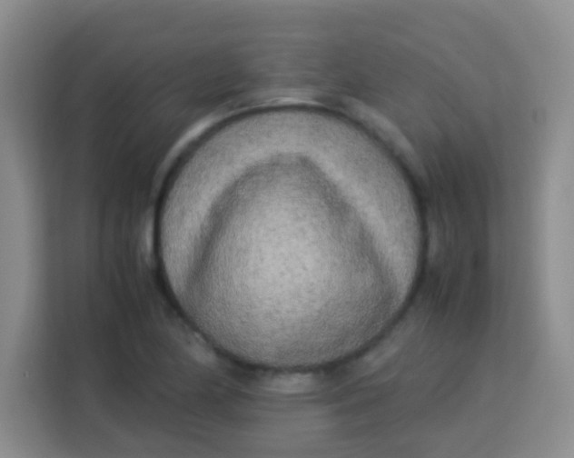 X0000113291174200910051054