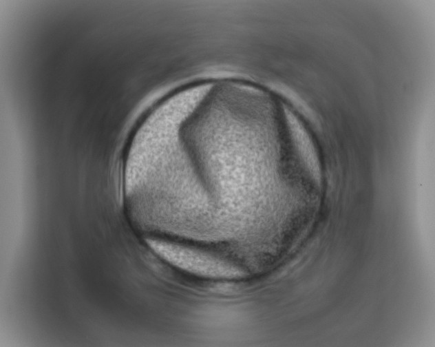 X0000113291175200910051054