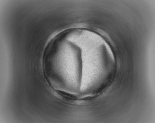 X0000113291176200910051054