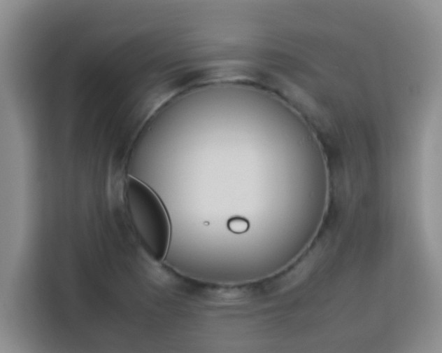 X0000113291177200910051054