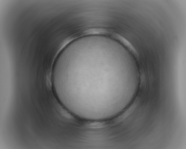 X0000113291178200910051054