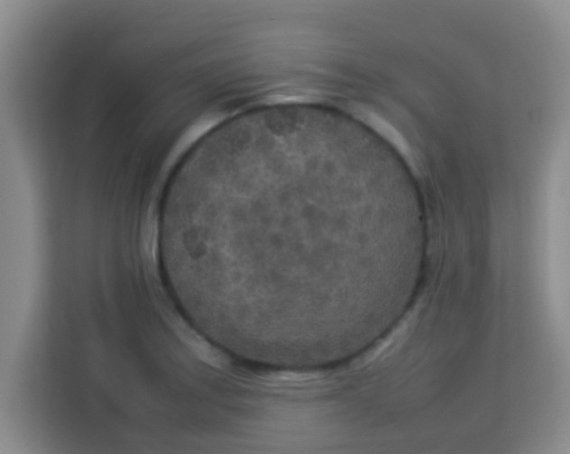 X0000113291179200910051054