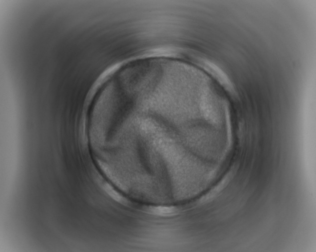 X0000113291180200910051054