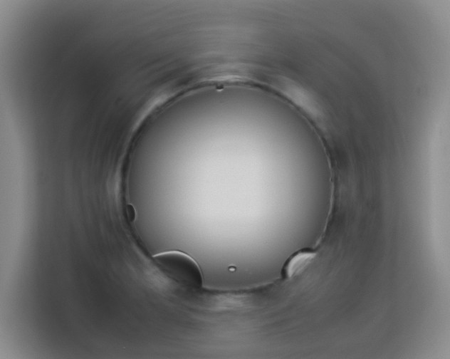 X0000113291181200910051054