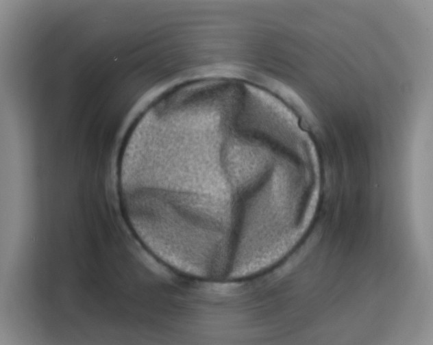 X0000113291184200910051054