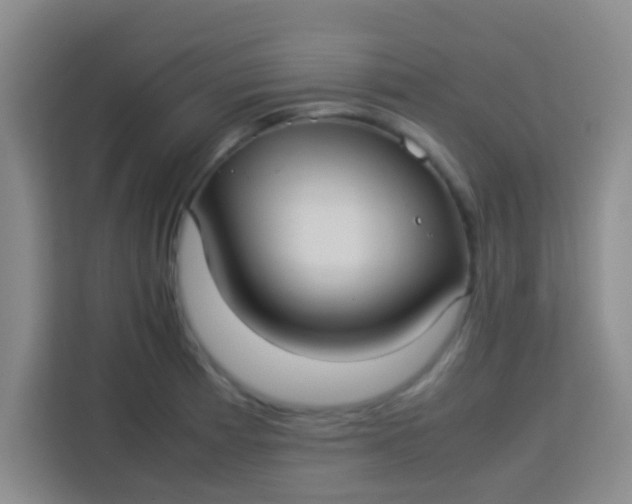 X0000113291185200910051054