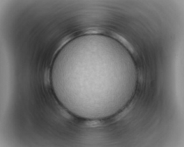 X0000113291186200910051054