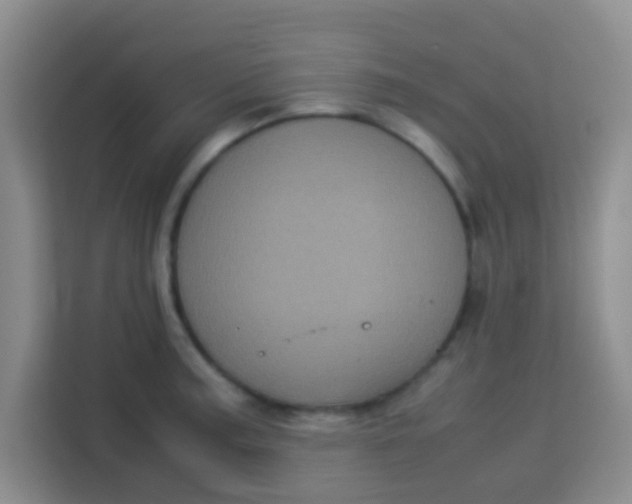 X0000113291187200910051054