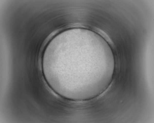 X0000113291188200910051054