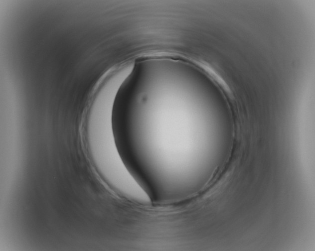 X0000113291189200910051054