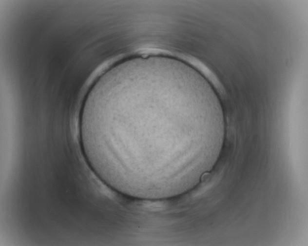 X0000113291191200910051054