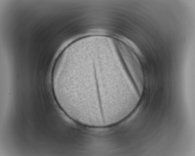 X0000113291192200910051054