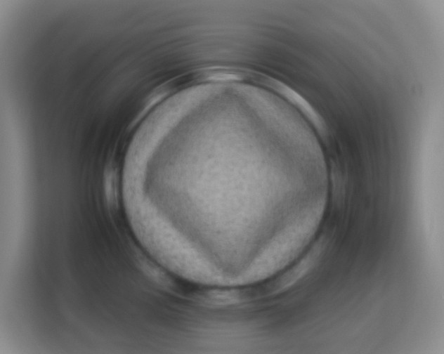 X0000113291194200910051054