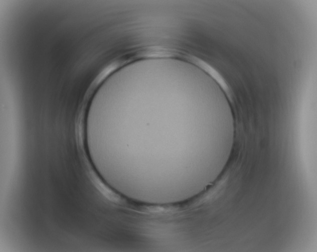 X0000113291195200910051054