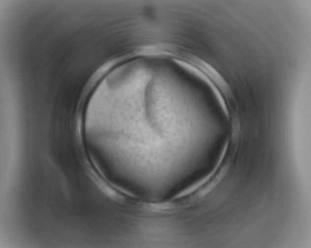 X0000113291196200910051054