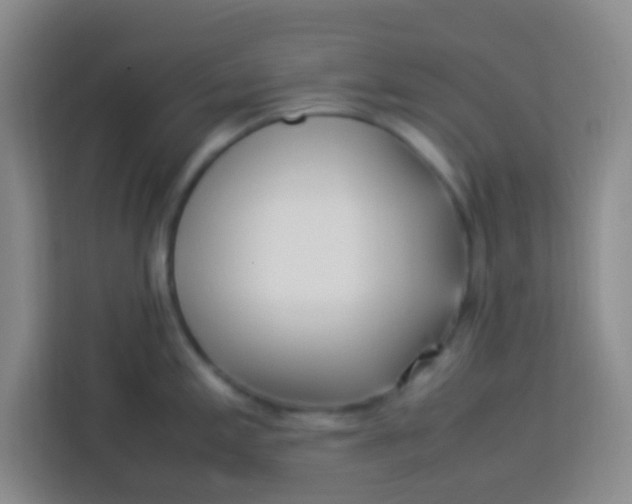 X0000113291197200910051054