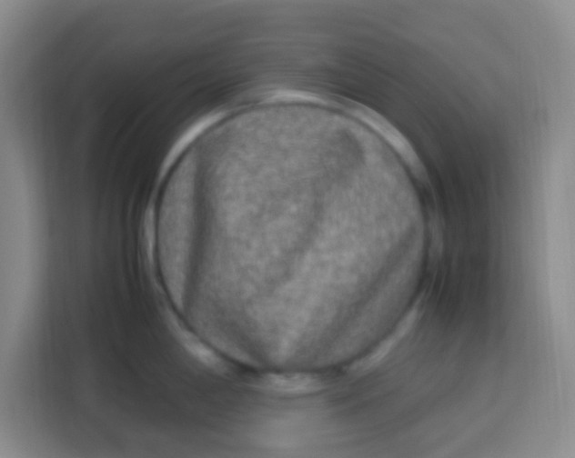 X0000113291198200910051054