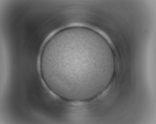 X0000113291199200910051054