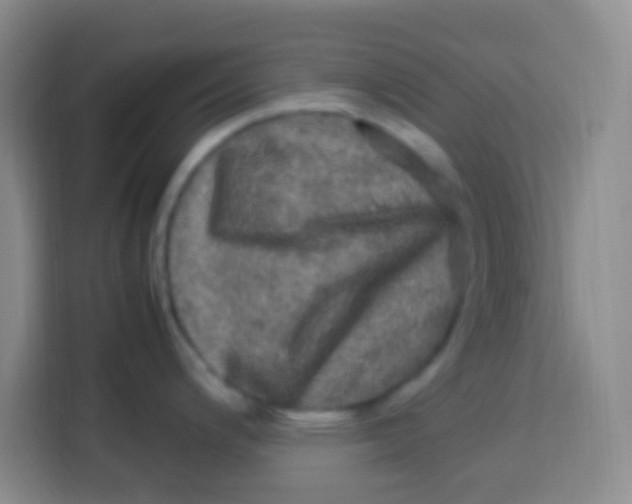 X0000113291200200910051054