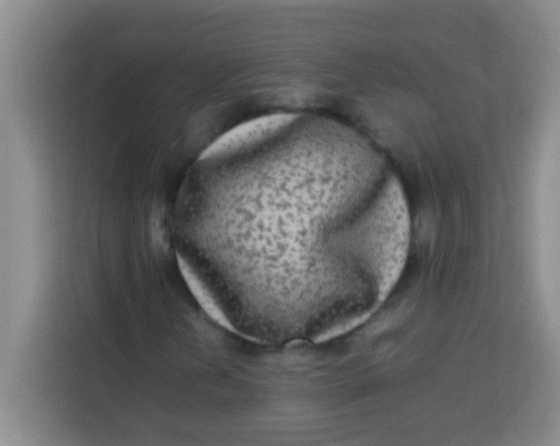 X0000113291202200910051054