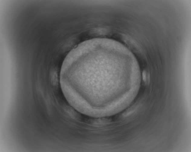 X0000113291203200910051054