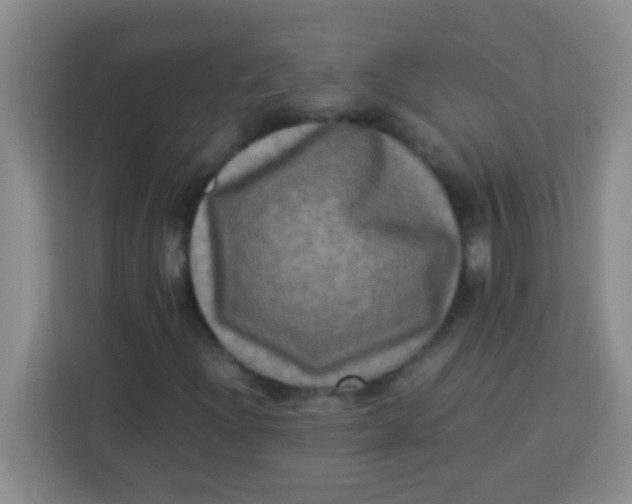 X0000113291204200910051054