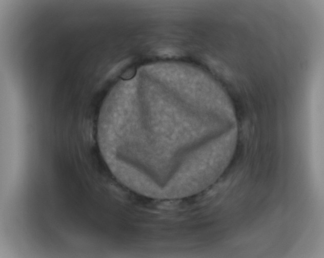 X0000113291205200910051054